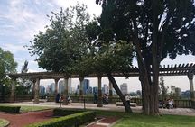 Discover Mexico City by Bike: Chapultepec to Downtown Tour!