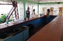  Rhythm Of Rum Tour & Rum Tasting Saint Lucia