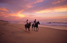 Cabo San Lucas Beach and Desert Horseback Ride