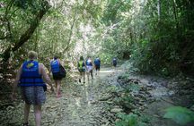 Half-Day Damajagua Waterfalls Adventure