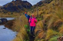 Cajas National Park and Cuenca City private Tour