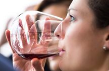 Tasmanian Premium Wine Tour with Tasmanian Cheese Platter