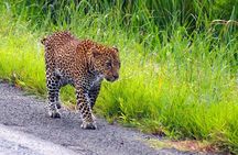 3 Days Safari at Mikumi National Park Southern circuit of Tanzania
