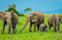 3 Days Safari at Mikumi National Park Southern circuit of Tanzania
