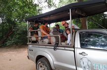 Udawalawe National Park - Half Day Safari Tour