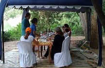 Udawalawa Full day Jeep Safari