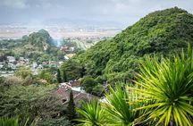 Explore Marble Mountains & Son Tra Linh Ung with Private Driver