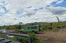 4Days Serengeti and Ngorongoro Budget Camping Safari from Arusha