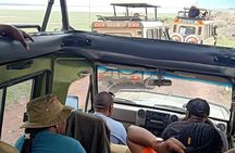 Ngorongoro National Park and Game Drive: Guided Day Tour from Arusha
