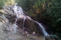 Rainforest-Cascading Waterfall, Batu Cave,Hotspring(Private Tour)