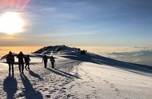 Kilimanjaro Climb - 8 Days Lemosho Route