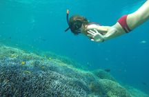 Day Trip Gili Trawangan, Gili Meno, Gili Air (Depart Lombok)