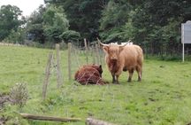Stirling Castle, Hairy Coo's & The Trossachs