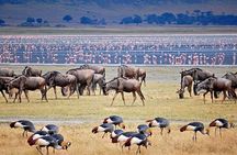 Ngorogoro Crater Tarangire And Lake Manyara Joining Group Safari