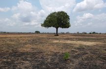 3 Nights 4 Days Mikumi national park