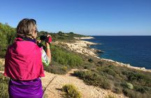 5-Days Guided Bike Tour in Istria with Private Accommodation