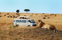 Nairobi Airport Layover Half Day Tour Nairobi National Park