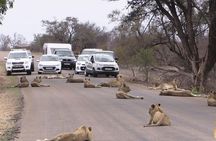 Nairobi Airport Layover Half Day Tour Nairobi National Park
