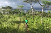 Jungle Mountain Bike Adventures