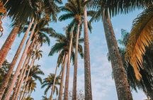 Tijuca Forest and Botanical Garden