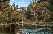 Tijuca Forest and Botanical Garden