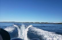 La Parguera Private Boat Charter 