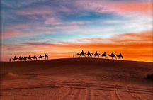 Desert Tour Ouarzazate CHEGAGA 2 Days/ 1 night