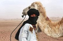 Desert Tour Ouarzazate CHEGAGA 2 Days/ 1 night