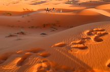Desert Tour Ouarzazate CHEGAGA 2 Days/ 1 night