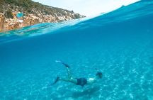Boat and Snorkeling in West End (Blue Channel, The Aquarium, Turtle Crossing) 