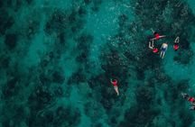 Boat and Snorkeling in West End (Blue Channel, The Aquarium, Turtle Crossing) 