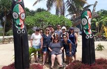 4 Hour: Private Tropical Trio Excursion (with Hotel Pickup) 
