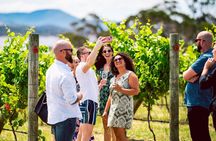 Tasmanian Premium Wine Tour with Tasmanian Cheese Platter
