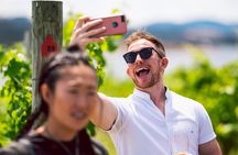 Tasmanian Premium Wine Tour with Tasmanian Cheese Platter