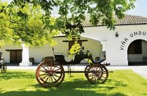 Half Day Trip to Undurraga Vineyard from Santiago - Wine Tasting Included