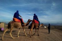 Quad bike & Camel ride Agafay & dinner at Chouf L’Or Restaurant