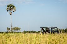 2-Day : Angkor Sunrise, Kompong Phluk Sunset & Banteay Srei Tour