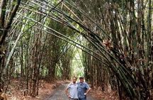 Customized Tours of Bali 