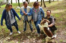 Truffle Hunt & Bio Lunch in Assisi