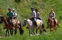 Horse Riding From Kusadasi Port / Hotels
