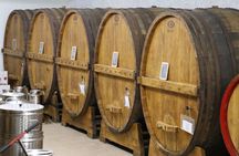 Winery tour with wine tasting from Assisi