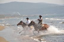 Horse Riding From Kusadasi Port / Hotels