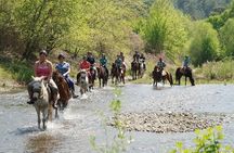 Kusadasi Horseback Riding