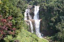 Day Tour of Nuwara Eliya