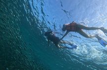Moalboal sardines, turtles, and Kawasan Canyon