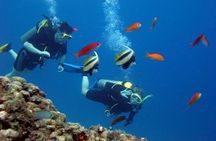 Scuba Diving Tour From Kusadasi / Selcuk