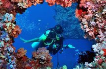 Discover Scuba Diving From Kusadasi Port / Hotels