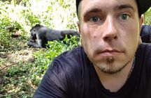 3 Days Uganda Gorilla Trekking Safari