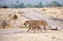 3 Days Safari at Mikumi National Park Southern circuit of Tanzania