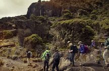6Days _Hiking _Machame _Route _Kimanajaro _Mountain 